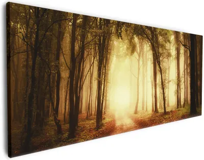 Produktbild von Wallario Premium Leinwandbild Sonnenuntergang auf dem Waldweg in Größe 50 x 125 cm