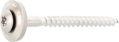 A single stainless steel screw with a washer and Torx drive is shown against a white background.