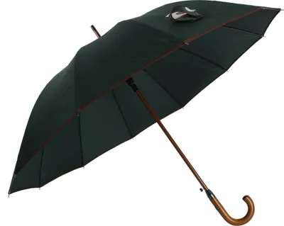 Produktbild von Stockregenschirm Stockschirm Regenschirm Holzgriff mit Fiberglasstange 116 cm ? Grün