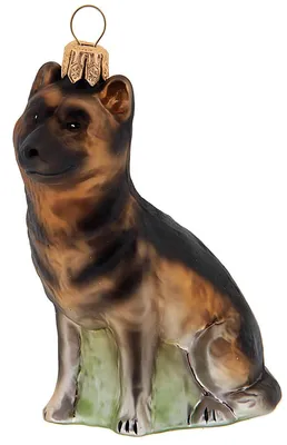 Produktbild von Schäferhund