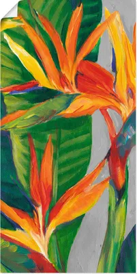 Produktbild von ARTland Poster Paradiesvogel II Größe: 20x40 cm