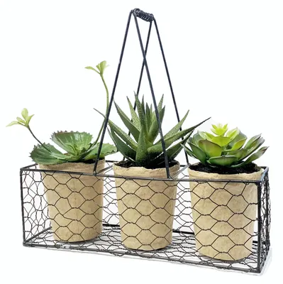 Produktbild von Künstliche Sukkulenten 3er Set. ca 27cm. Kunstpflanzen im Metallkorb