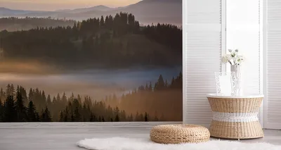 Zdjęcie produktu dla Fototapeta Las we mgle Dekoracja Ścienna do Jadalni Drzewo Zielona Przyroda Trójwymiar 315x210cm