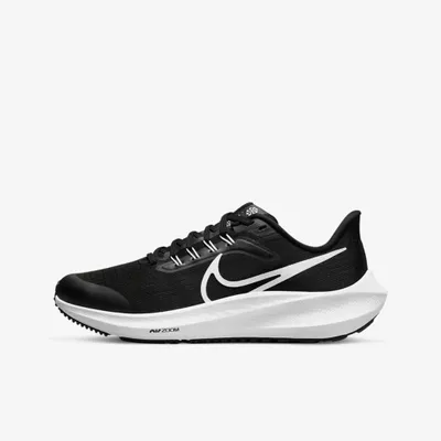 Image de Chaussures Nike Air Zoom Pegasus DM4015001