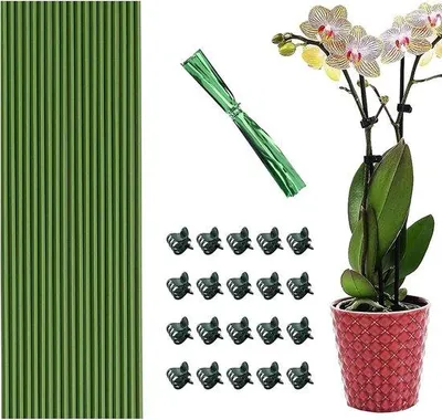 Image de Kit de tuteurs et d'attaches pour orchidées - 20 tuteurs pour orchidées