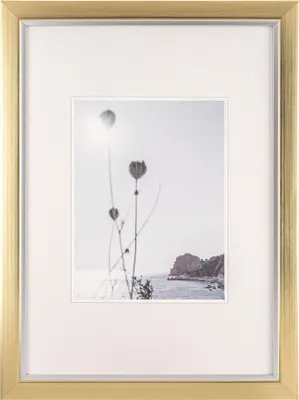 Produktbild von Walther; JI342C, Beyond Designrahmen 29,7X42 cm CHAMPAGNER-GOLD DIN A3