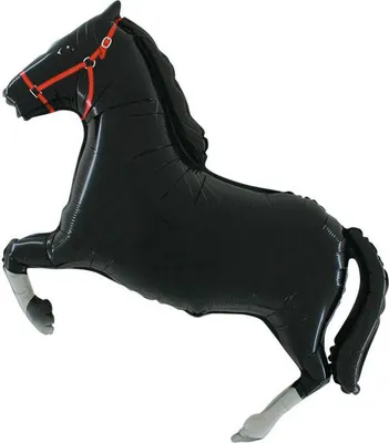 Produktbild von Folienballon - Galoppierendes Pferd, Schwarz 56cm