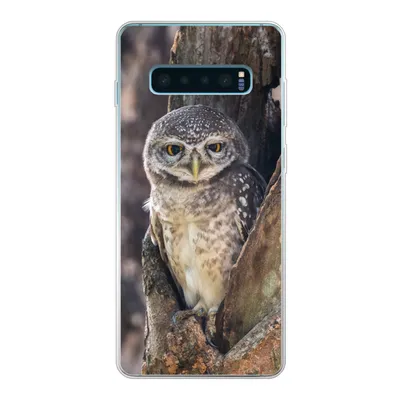 Produktbild von MuchoWow® Handyhülle Schutzhülle Hülle für Samsung Galaxy S10 Lite Eule - Baum - Wald Silikon Softcase Handy Hülle - Schutz