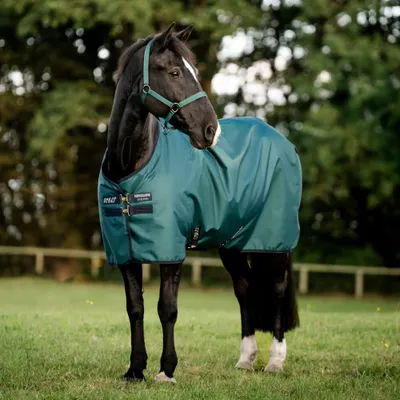 Produktbild von Horseware Amigo Ripstop 900D 100g