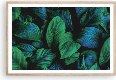 Produktbild von Gerahmtes Poster - Rahmen in heller Eiche - Blätter Pflanzen Exotik - 91,5x61 cm - Wand Bild - Wanddeko - Wandbilder - Kunstposter - Wandposter - Bilderrahmen - Bilder - Kunstdruck - P2NAA91x61-5066