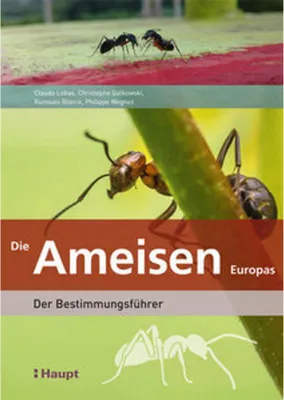 Produktbild von Die Ameisen Europas
