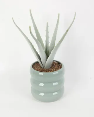 Produktbild von TrendLine Kunstpflanze Aloe Ø 13 x 29 cm grün