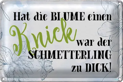 Produktbild von Blechschild Spruch 30x20cm hat Blume Knick Schmetterling