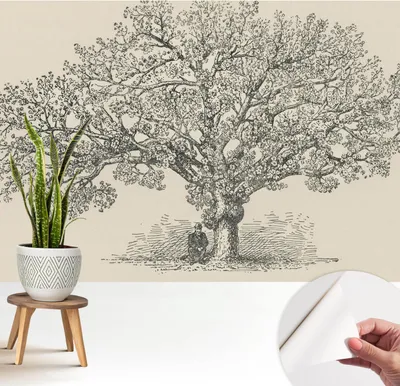 Produktbild von Fototapete selbstklebend - 208x146 cm - Tapete - Wandtapete - Wandbilder - Klebefolie - Dekofolie - Tapete Folie - Wand - Dekoration - Wohnzimmer - Baumillustration