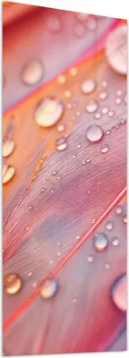 Produktbild von Glasbild 50x125cm in XXL für Wohnzimmer, Schlafzimmer Motiv Wassertropfen auf Federn