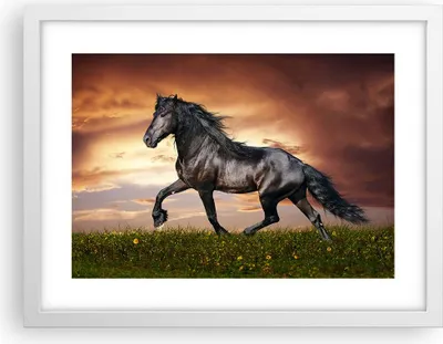 Produktbild von Gerahmtes Poster - Weißer Rahmen - Pferd Tier Wiese - 40x30 cm - Wand Bild - Wanddeko - Wandbilder - Kunstposter - Wandposter - Bilderrahmen - Bilder - Kunstdruck - Wandbild - P2WAA40x30-2608