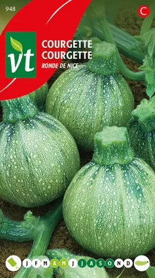 Produktbild von Zucchini Round De Nice Samen - Ca. 1,5 gr | VT_948