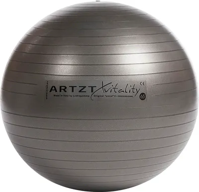 Produktbild von ARTZT vitality Fitness-Ball Professional, ø 65 cm, anthrazit