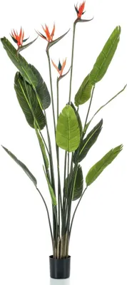 Produktbild von Emerald Künstliche Strelitzie mit 4 Blüten im Topf 150 cm