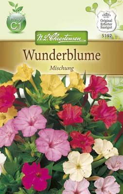 Produktbild von Wunderblume Mix | Blumensamen von N.L. Chrestensen