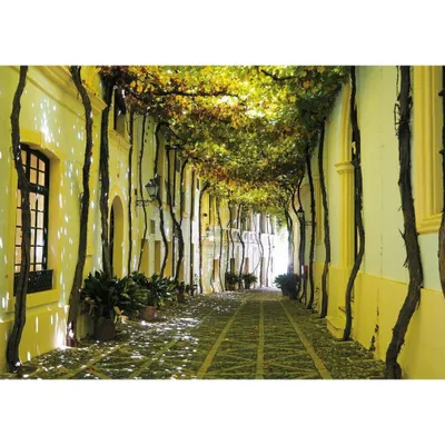 Image de PIATNIK Rue andalouse Puzzle 1000 pièces