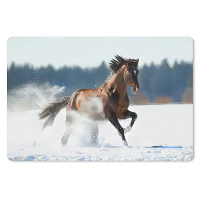 Produktbild von MuchoWow® Schreibtischunterlage Pferd - Schnee - Winter 60x40 cm - XXL Mauspad - Großes Mauspad