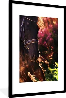 Produktbild von MuchoWow® MuchoWow® Gerahmtes Poster Pferd - Sonne - Porträt 60x90 cm - Poster mit zchwarzem Bilderrahmen - Dekoration - Wandposter Wohnzimmer - Hochwertig