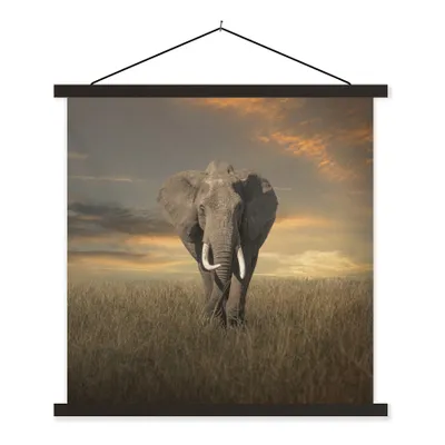 Produktbild von MuchoWow® Textilposter Elefant - Tiere - Gras - Natur 120x120 cm mit schwarzem Rahmen - Aufhängungsset