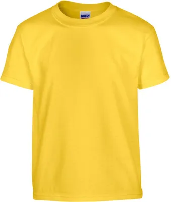 Image de T-shirt Gildan Heavy Coton ? Youth T-Shirt