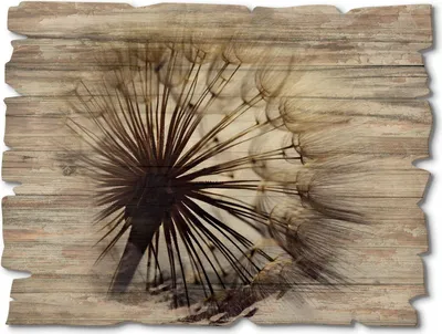 Produktbild von ARTland Holzbild Vintage Große Pusteblume Größe: 40x30 cm