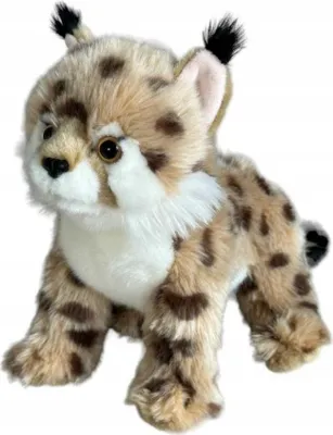 Image de Lynx debout 30559