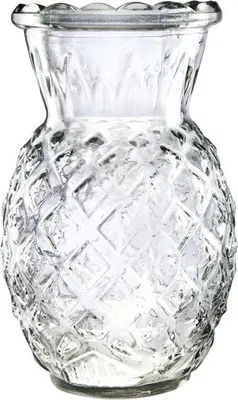 Image de Pot d'ananas Utopia Hawaii 570 ml (6 pièces)