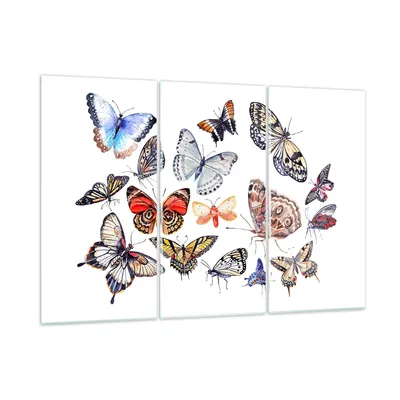 Produktbild von Bilder auf glas - Schmetterlinge Illustration Bunt Flügel - 105x70cm - Glasbilder - Wandbilder - Kunstdruck - Wanddekoration aus Glas - Glas Bilder - Wandbild auf Glas - GCE105x70-2916