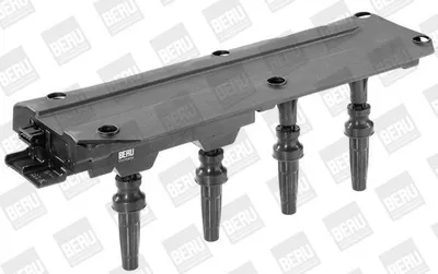 Immagine prodotto di Bobina di accensione ZS349 BorgWarner (BERU)