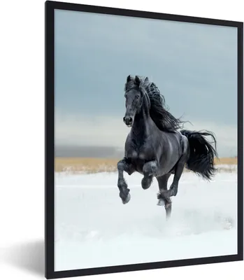 Produktbild von MuchoWow® Gerahmtes Poster Pferd - Schwarz - Schnee 60x80 cm - Poster mit Schwarzem Bilderrahmen Wandposter Rahmen Foto Bilder - Premium - Wanddeko Wohnzimmer