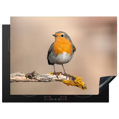 Produktbild von KitchenYeah© Herdabdeckplatte Rotkehlchen - Vogel - Zweig - Tiere , 71x52cm, Küche Deko, Glaskeramikkochfeld Herdabdeckung, Abdeckplatte fùr Kochfeld