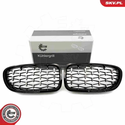 Produktbild von ESEN SKV 66SKV191 Kühlergrill Frontgrill für BMW 5 Touring (F11) Glänzend Silber Schwarz