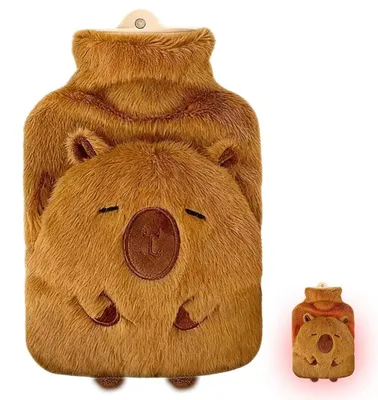 Image de Bouillotte avec couvercle pour soulager la douleur