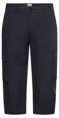 Produktbild von camel active Bermudas / Shorts 48 48 35