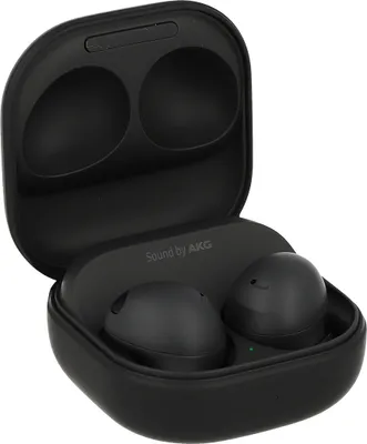 Produktbild von Samsung Galaxy Buds2 Pro Graphite
