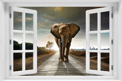Produktbild von Wallario selbstklebendes Poster mit Fenster-Illusion - Elefant bei Sonnenaufgang in Afrika, Größe: 100 x 150 cm