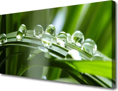Produktbild von Tulup Leinwand-Bilder 100x50 Wandbild Canvas Kunstdruck Gras Tautropfen Pflanzen