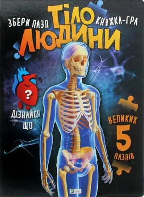 Produktbild von Ludzkie ciało