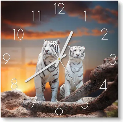 Produktbild von DEQORI Glasuhr 30x30 cm Zahlen 'Weiße Tiger im Abendlicht' Wanduhr Glas Uhr Design leise