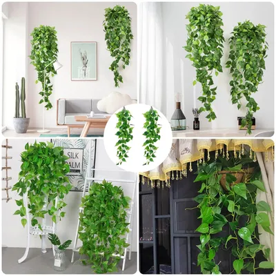 Imagen del producto de Plantas de hiedra artificial, 2 unidades, 100 cm, para decoración de paredes