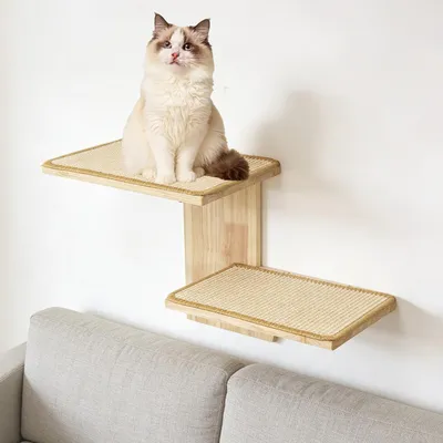 Katzenwand-Kletterwand mit 2 Plattformen und Sisalmatten