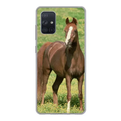 Produktbild von MuchoWow® Handyhülle Schutzhülle Hülle für Samsung Galaxy A51 Pferde - Gras - Braun Silikon Softcase Handy Hülle - Schutzabdeckung