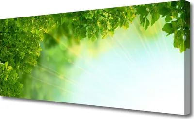Produktbild von Tulup Leinwand-Bilder 125x50 Wandbild Canvas Kunstdruck Blätter Natur