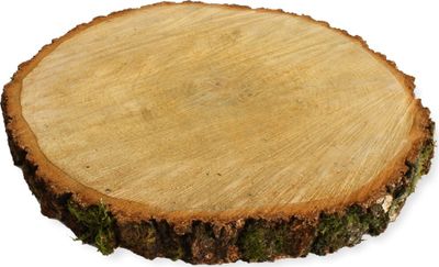 Baumscheiben 1 Stk. Dekoholz Holzscheibe Holzplatte 35 - 40 cm