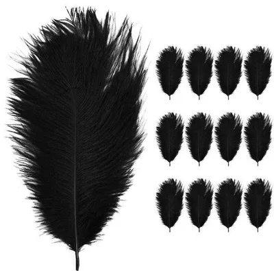 Image de Véritables plumes d'autruche - Plumes naturelles - 20-25 cm, 12 pièces